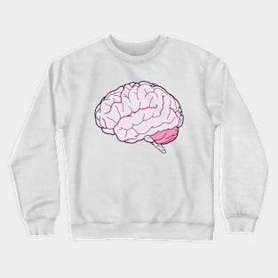 Colorful Brain Line Art small Crewneck Sweatshirt